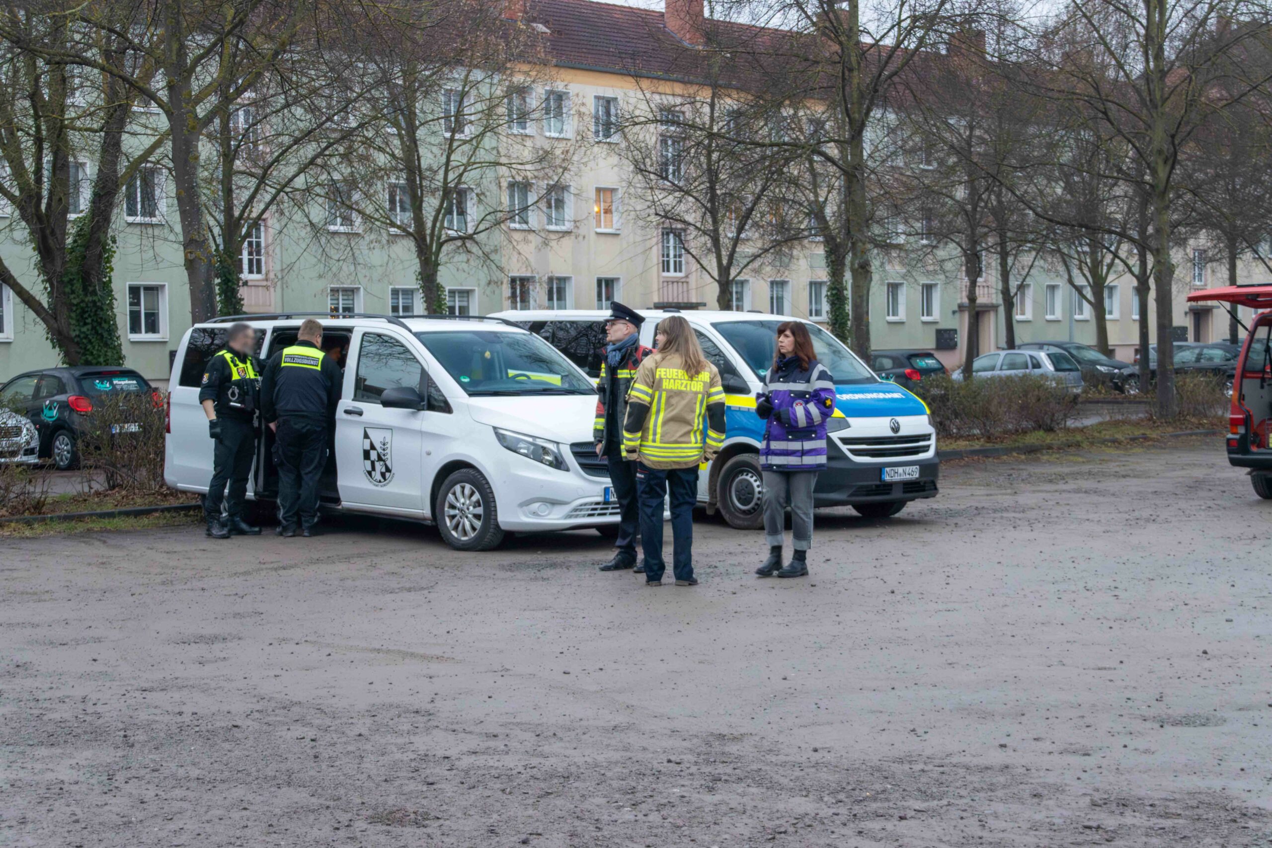 Foto: S. Schönemann